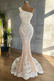 Mermaid Asymmetrical Lace Applique Floor-length Sleeveless Prom Dress HZ1108