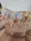 Champagne A-Line Off Shoulder Tulle Sequin Long Ball Dress Cute Layered Dress HZ1108