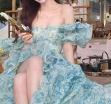 Sweet A-Line off-shoulder organza print Long Prom Dress Birthday Adult Ceremony Dress HZ1108