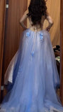 Backless A-Line Spaghetti Strap Tulle Applique Long Prom Dress Sweet Evening Dress HZ1108