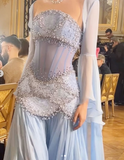 Glam Purple Sheath Tulle Beaded Sleeves Long Prom Dresses HZ1108